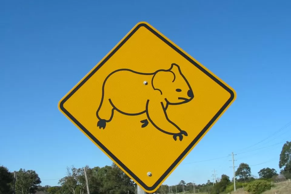 Koala Sign